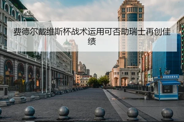 费德尔戴维斯杯战术运用可否助瑞士再创佳绩 | SPORTS