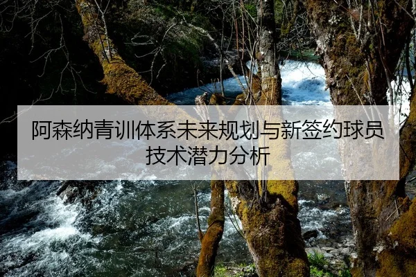阿森纳青训体系未来规划与新签约球员技术潜力分析
